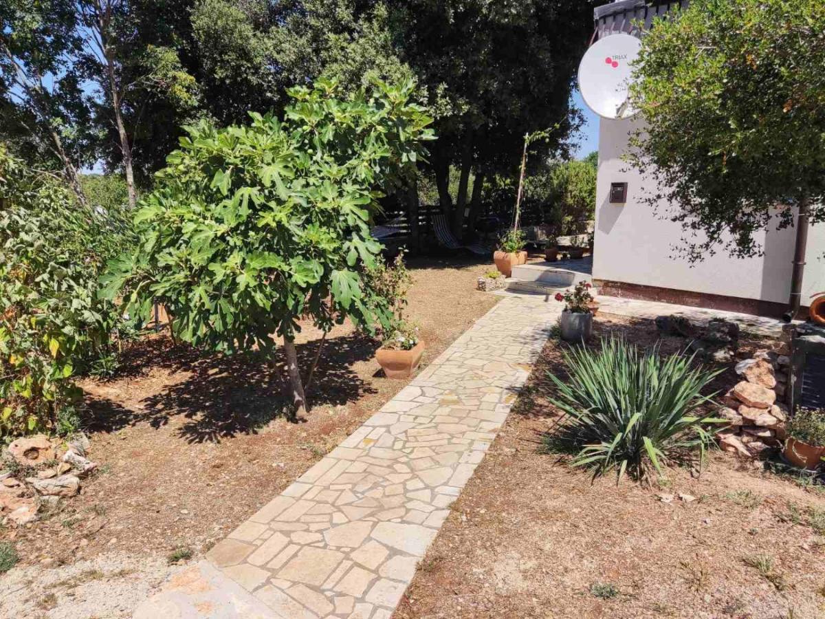 Viva 2 Rovinj Apartment Exterior photo